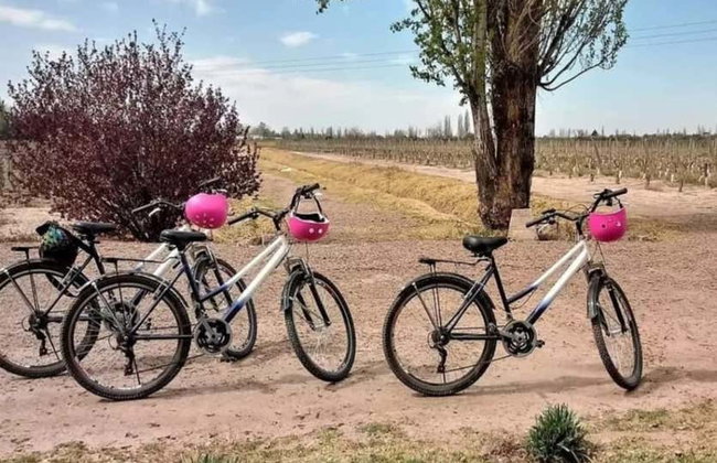 Alquiler de bicicleta en Maipú - Foto 2