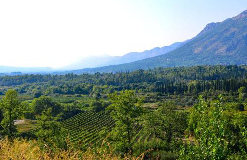 Luxury villa with a swimming pool Zastolje, Dubrovnik - 14922 - Foto 29