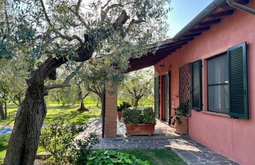 Agriturismo Valdo - Foto 9