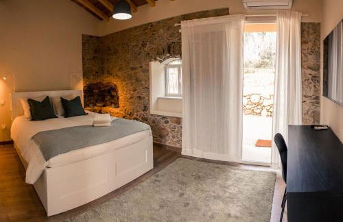 Quinta-lina de serpins - Foto 23