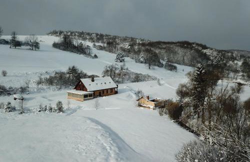 Wilcza Dolina - Foto 17