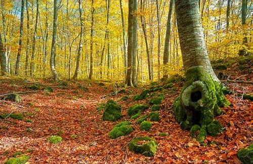 Ca la Xesca - Foto 21