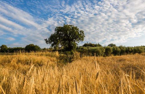 Agriturismo San Nicolò - Foto 12