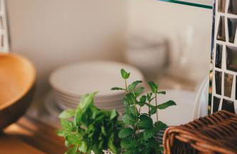 Apartamentos Aurelia Antica - Photo 30