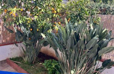 Villa del Limone , Mondello Via deucalione 18 ,via Miseno 18 - Photo 27