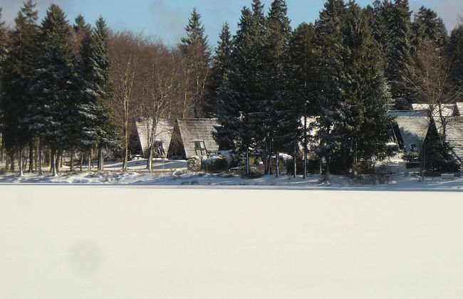 Waldsee Feriendienst - Foto 26