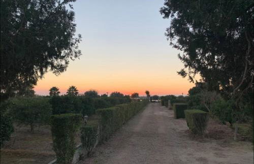 Beach Retreat - Photo 25