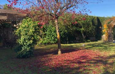 Paleolítico rural - Photo 38