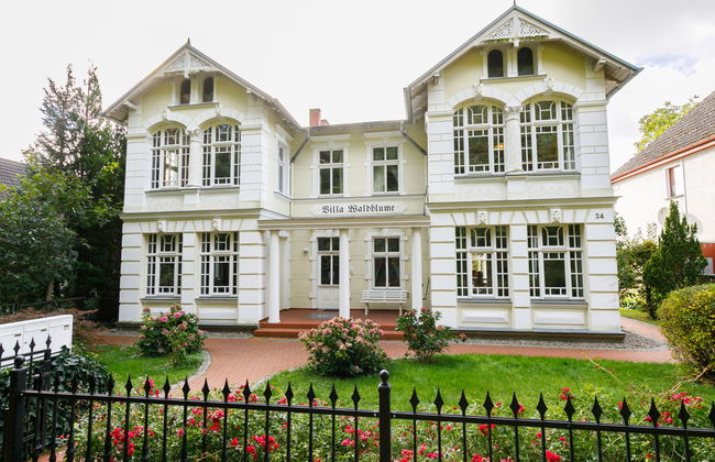 Sonnenblume - Foto 25