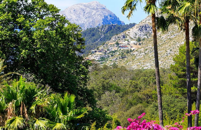 Villa Raconet in Cala Sant Vicen - Foto 14