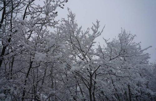 La casa di Chiara - Foto 14