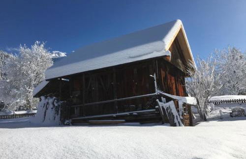 App. Daverda Walter Strada al Plan Dessora 26 - Photo 23