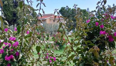Mari e Monti - Foto 2, Garden view