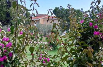 Mari e Monti - Foto 2