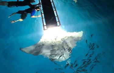 Luxury Oceanview Estate - Photo 39