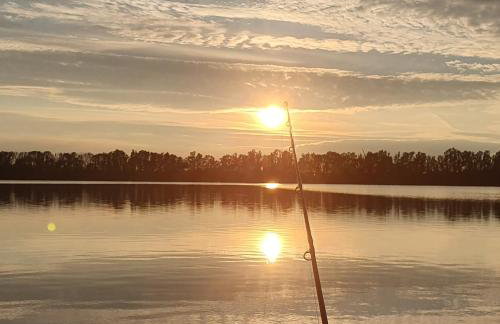 Deichkrone-Rees - Photo 34