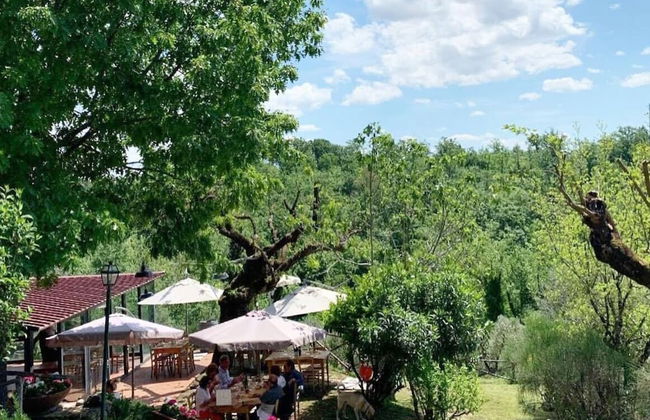 Tenuta San Vito - Foto 34