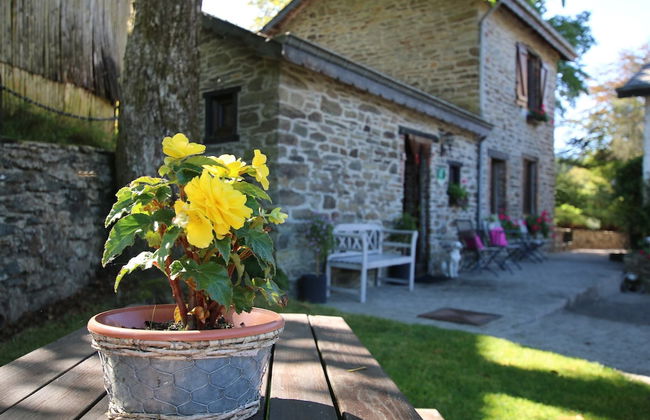 Forest Hideaway, Baillamont - Foto 35