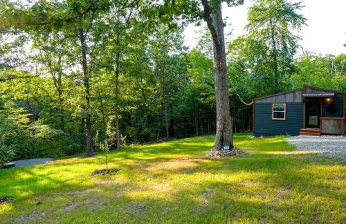 Off-Grid Cabin Surrounded by Trees in Pineville, Missouri - Foto 40