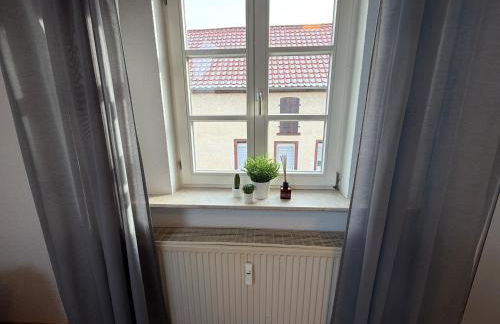 Gemütliche 1-Zimmer-Wohnung in Pfungstadt-Eschollbrücken - Foto 10