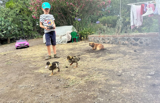 Poggio Roseto - Foto 53