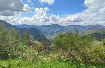 Ollar do Cido - Foto 48