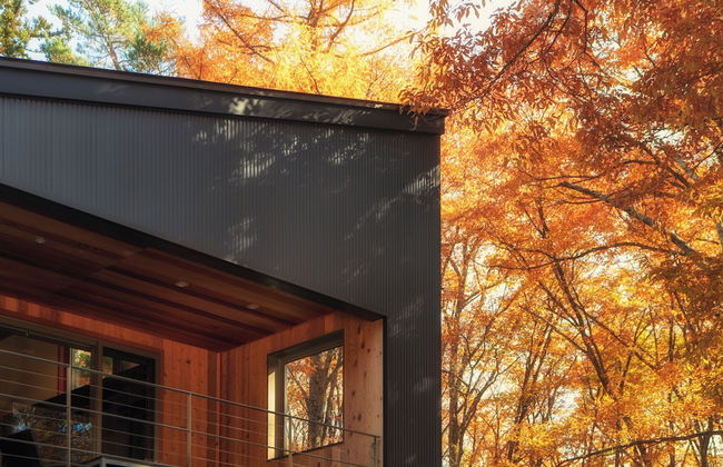 Phoenix Cocoon - Foto 46