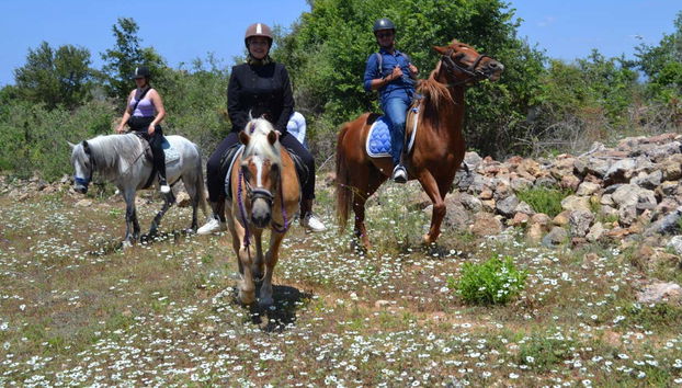 Alanya Mountains Horseback Ride - Photo 2
