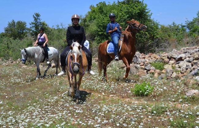 Alanya Mountains Horseback Ride - Photo 2