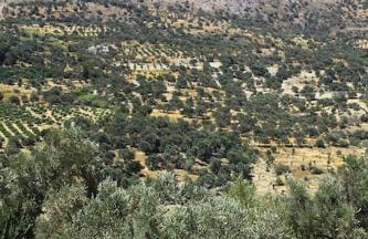 Orne Magical Retreat - Foto 57