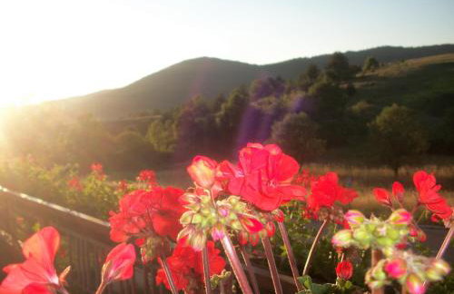 House Veljko - Foto 17