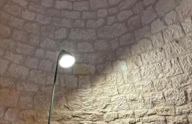 Nidus Petrae - Foto 18