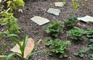 Au Temps Passé - Photo 9