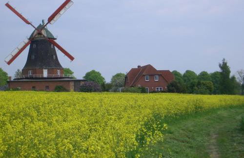 Familienapartment Neubukow - Foto 20