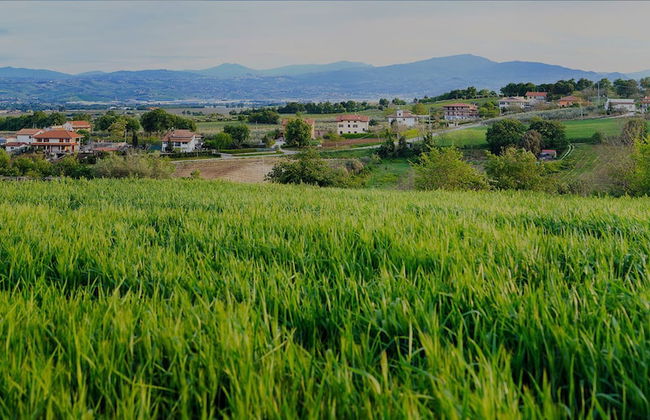 Hotel Residence Eden - Foto 67