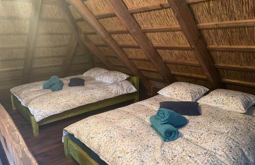 Agroturystyka Mirabelkowe Zacisze - Foto 20