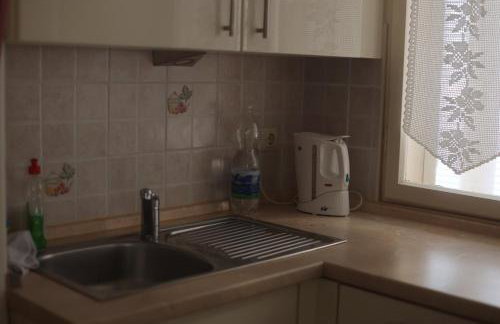 Apartman Blaga - Photo 43