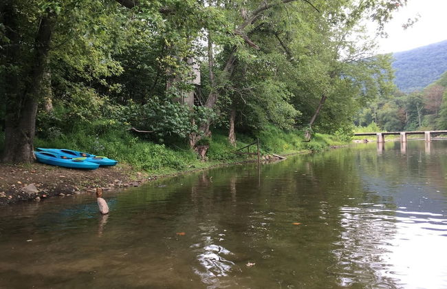 Chesnutt Cabin on the Cacapon River - Foto 25