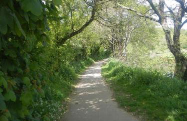 Boots Cottage - Foto 26