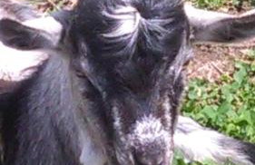 Agroturystyka,, Ranczo Kruszynki" - Foto 68