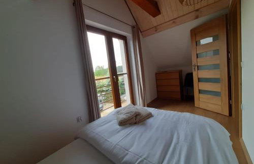 Dom Geografów - Foto 11