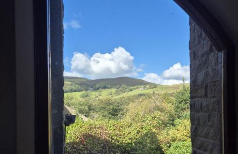 The Waltzing Weasel - Photo 18