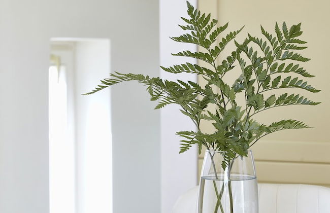 Kedros Villas - Photo 57