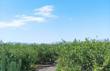 Villa Cora Murcia , Oasis De Relax - Foto 47