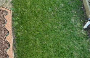 Casa vacanza Le due Stelle - Foto 22