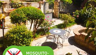 Il CHIOSTRO oasi di pace con antica cantina nel cuore del Monferrato Unesco - Foto 2