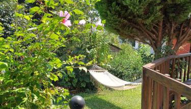 Efi's Guest House - Foto 4, Garden view