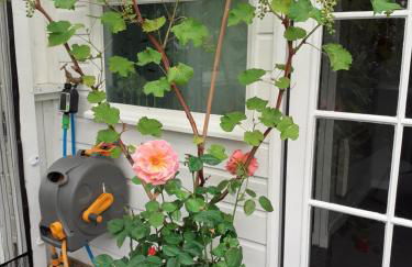 The Treehouse by Airlie - Foto 41