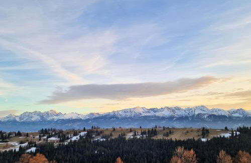 Dom Tatrzański Widok - Foto 15