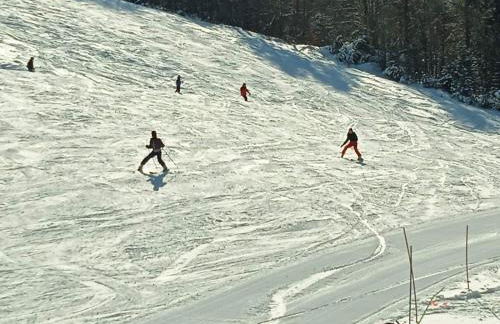 Guest house Elatochori - Foto 48